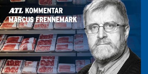 Navigera rätt i köttdebatten