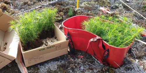 Investerar för att möta ökad efterfrågan