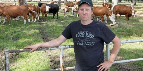 Drabbade lantbrukaren: Ge skottpengar till jägarna