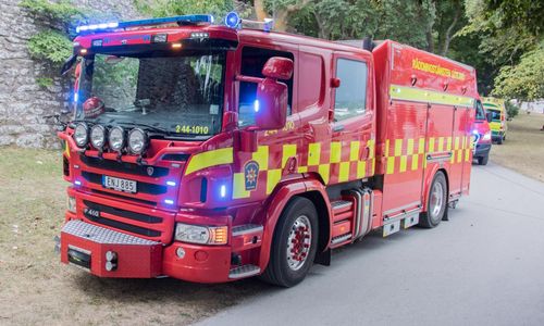 Brand i ladugård med hästar och höns