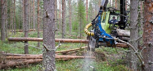 Nytt mobilverktyg ger stöd vid gallring