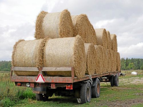 Foderhjälpen blev en succé