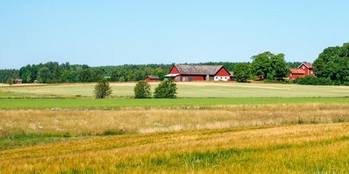 ”Varför stödjer C de rödgröna?”