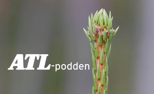 Heta skogsfrågor i ATL-podden