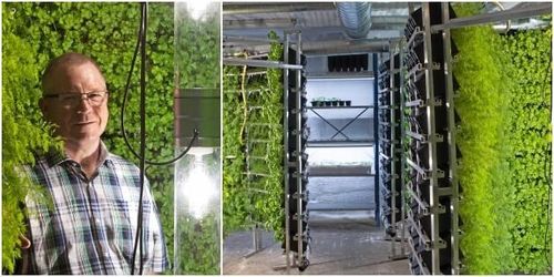 Han bytte grisarna mot färska kryddor