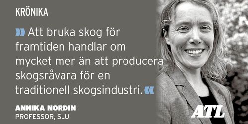 ”Dags att prata mer om skogen och klimatet”