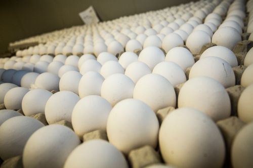 Svenska ägg får en miljon av jordbruksverket