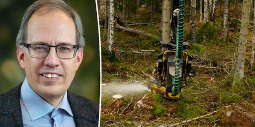 Forskaren bakom Stora Ensos kritiserade avtal