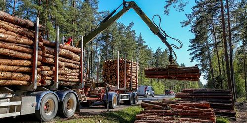 Riksdagen gör tummen ner för upplagsavgift