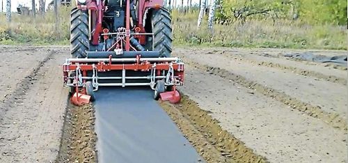 Ny nedbrytbar duk ska hålla ogräs borta