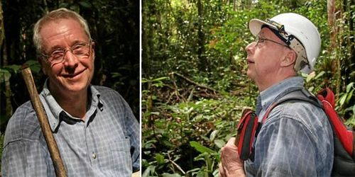 Forskare: Det går att bruka regnskogen hållbart