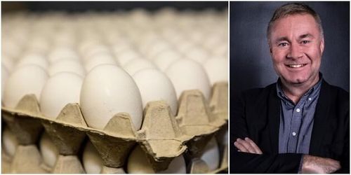 Stjärnägg tar steget över Öresund