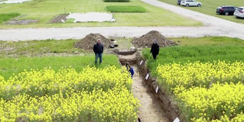 ATL TV: Sommarspecial om växtodling