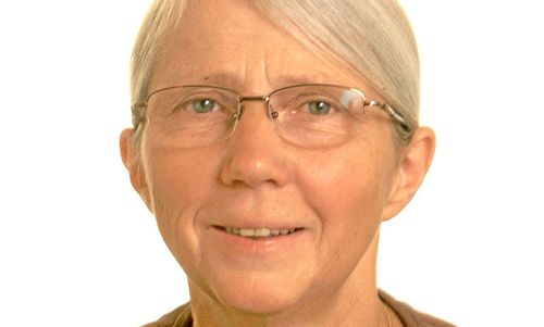 Mycket att ifrågasätta i repliken