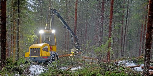Ökad produktion kräver skogsägarnas insatser