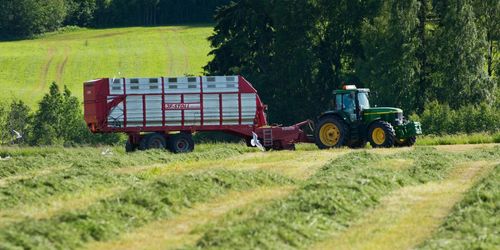 Höga vallskördar kan ge brist på kalium