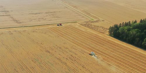 ”Spannmålsskörden tar fart till helgen”
