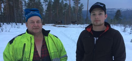 Matar älgar för att minska olyckorna