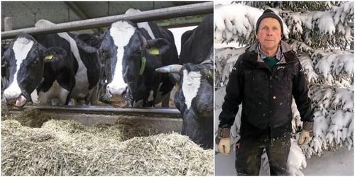 ”Vi har makten över framtidens försörjning”