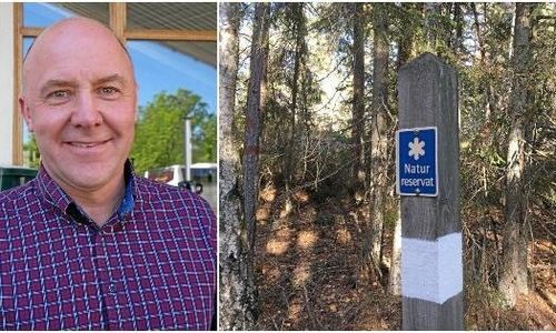 Ny statistik: Så mycket skog är skyddad