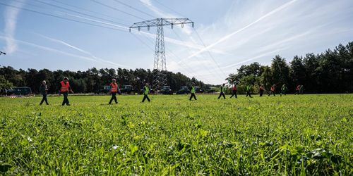 Ytterligare bekräftade fall av afrikansk svinpest i Tyskland