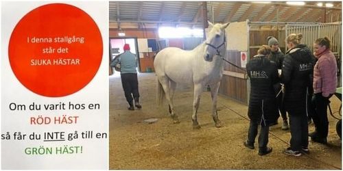 Nu är dörren på glänt hos Skånsta Ryttare