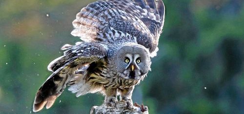 ”Regelverk måste utredas innan de sjösätts”