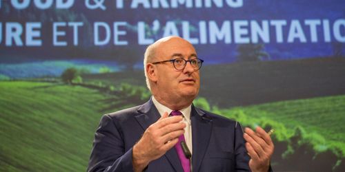 Hogans Brexit-hot: Stöden kan skäras ned ännu mer