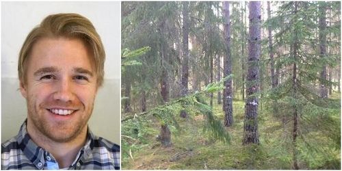 Gran är ingen självklar vinnare