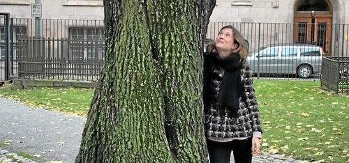 Bli ett träd i ditt nästa liv