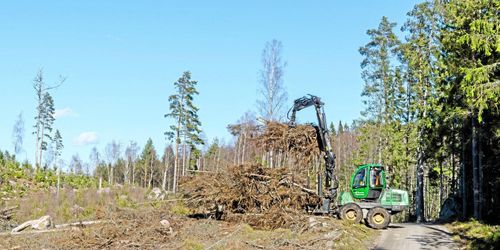 Skogsbolagen har full rätt till ersättningsmark