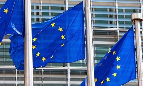 Så reagerar skogsbranschen på EU:s biobesked