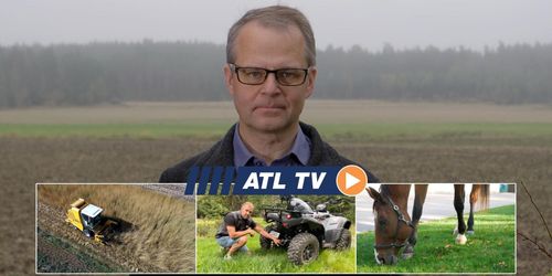 ATL TV: Här skördas kernza