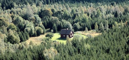 Så lönsamma är Sveriges skogsgårdar