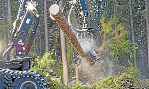 Hotar med bojkott av svenska skogsprodukter