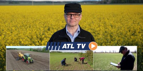 ATL TV: Fågelskador mäts från vår till höst