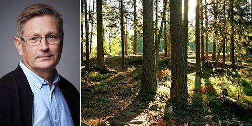 ”Inte sant att vi nått målen för avsättning av skog”