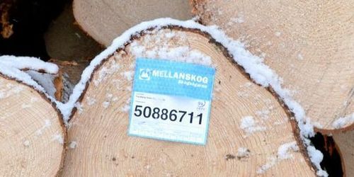 Finansnettot drar ned Mellanskog