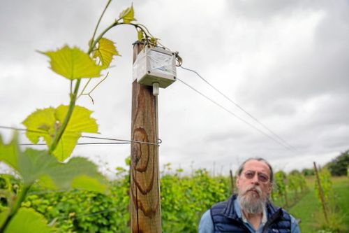 5G ger bättre koll på grödorna