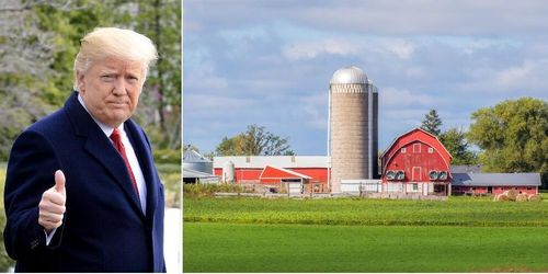 Därför håller USA:s bönder fast vid Trump