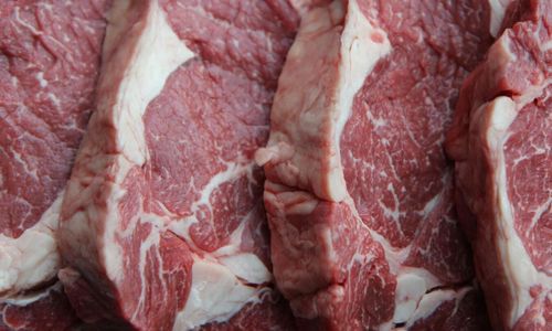 Ekokött ligger still