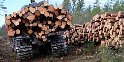 Hållbarhetsavtal gav ökade avverkningar för Norrskog