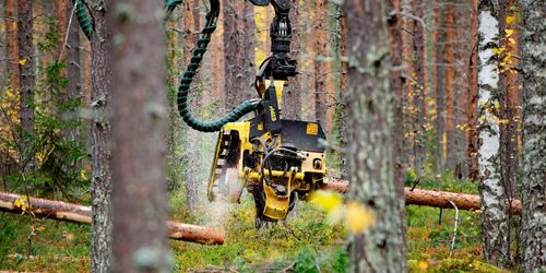 Sveaskog höjer timmerpriset i norr