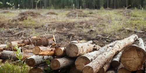 Färre ville avverka i april