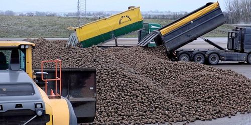 Utdragen betkampanj en ekonomisk nitlott