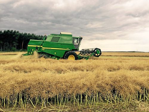Nytt nej till neonikotinoider