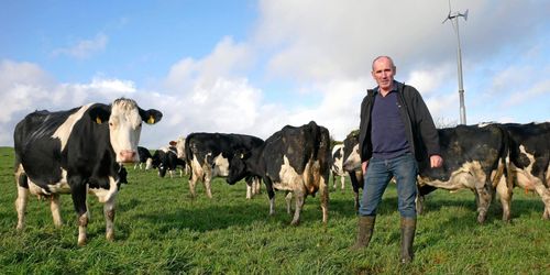 Kort övergång oroar Irlands bönder: ”Ett år räcker inte”