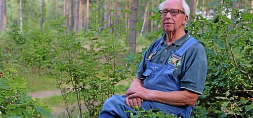 Vänta med att hugga – och tjäna mer