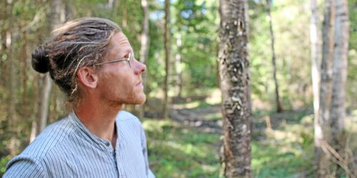 Han ser klöver i löven