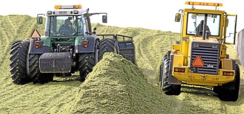 ”Den danska konkurrensen är förödande”